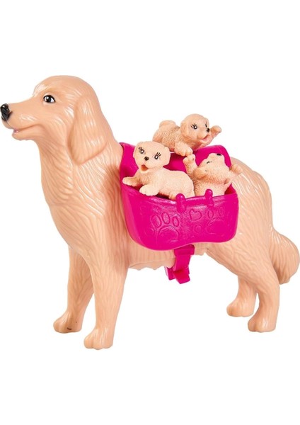 Evi Köpeği ve 3 Yavrusu SMB-105733072 fırsatları