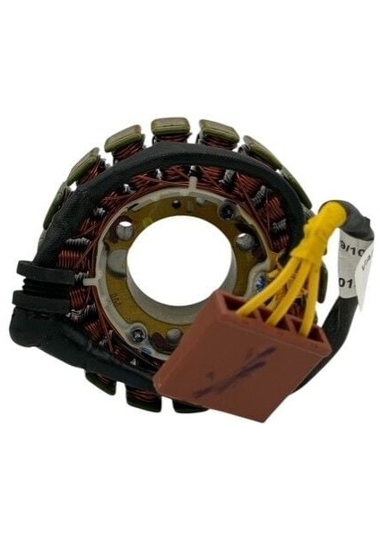 Bajaj Pulsar Rs 200 Euro+5 Statör modelleri