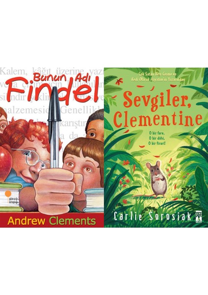 Bunun Adı Findel (Andrew Clements) ve Sevgiler Clementine (Carlie Sorosiak)