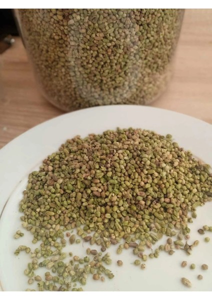 Bilye Kekik Organik 100 Fr Topak Kekik fiyatları