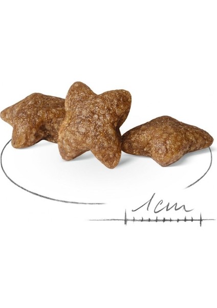 Mini Adult Küçük Irklar Için Yetişkin Kuru Köpek Maması 4kg
