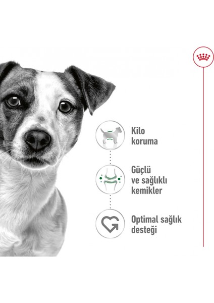 Mini Adult Küçük Irklar Için Yetişkin Kuru Köpek Maması 4kg