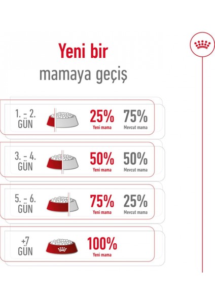 Mini Adult Küçük Irklar Için Yetişkin Kuru Köpek Maması 4kg