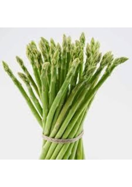 10 Adet Tohum Kuşkonmaz Tohumu Nadir Bulunan Kuş Konmaz Kuşkonmaz Tohumu