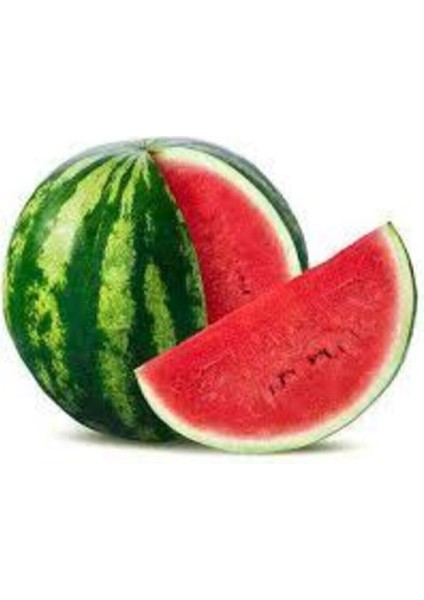 100 Addet Tohum Eko Paket Adana Karpuzu Tohumu