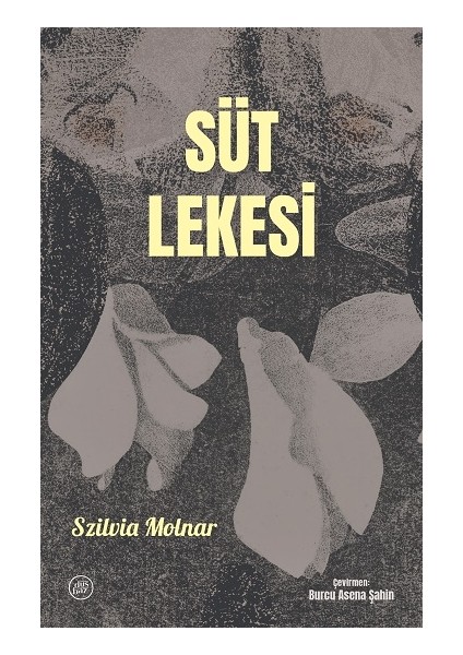 Süt Lekesi