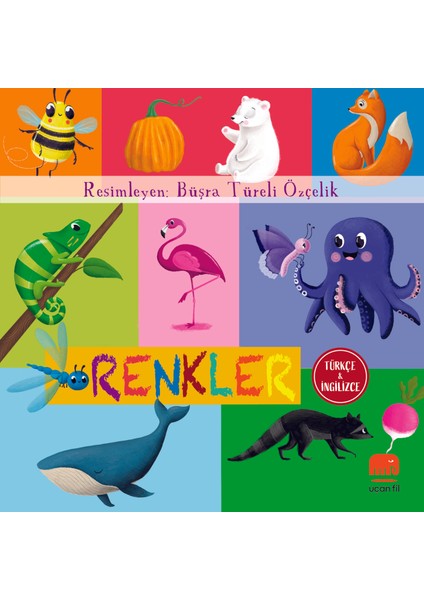 Renkler (Board Book)