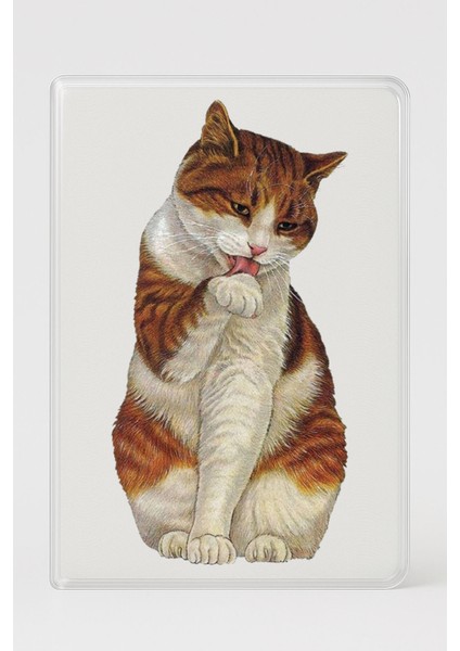 Şeffaf Pasaport Kılıfı Kalın Mikron Kart Bölmeli Desenli Pasaport Kabı - Graphic Cat