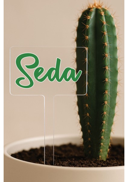 Kişiye Özel Isim Kelime Yazılı Uv Baskılı Şeffaf Dekoratif Pleksi Saksı Süsü - Model 8