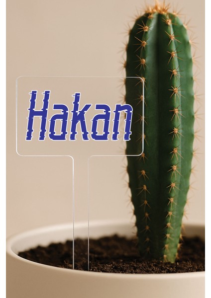 Kişiye Özel Isim Kelime Yazılı Uv Baskılı Şeffaf Dekoratif Pleksi Saksı Süsü - Tsrm 23