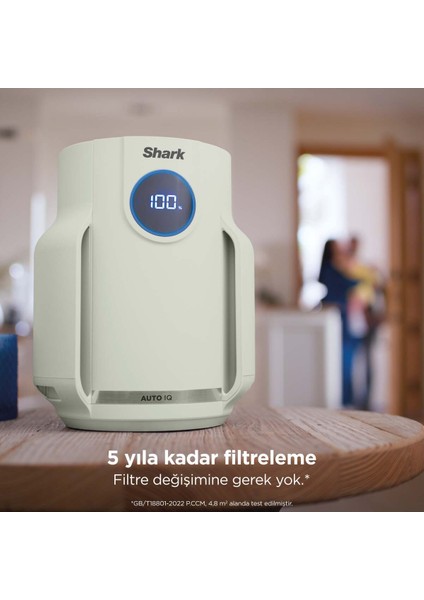 Alerjisi Olan Evler, Aileler ve Evcil Hayvanlar Için Ideal Neverchange5 Compact Pro, Yeşil + 5 Yıl Uzun Ömürlü Filitre fırsatları