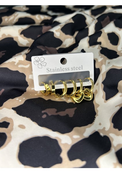 Çelik 6lı Küpe Seti