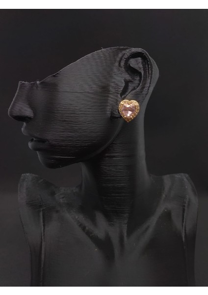 Kalp Model Çok Renkli Küpe