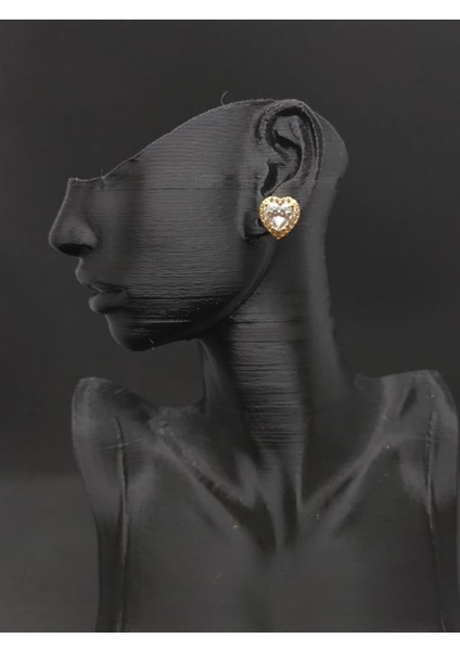 Kalp Model Çok Renkli Küpe fiyatları