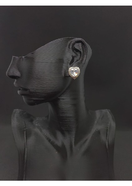 Kalp Model Çok Renkli Küpe fırsatları