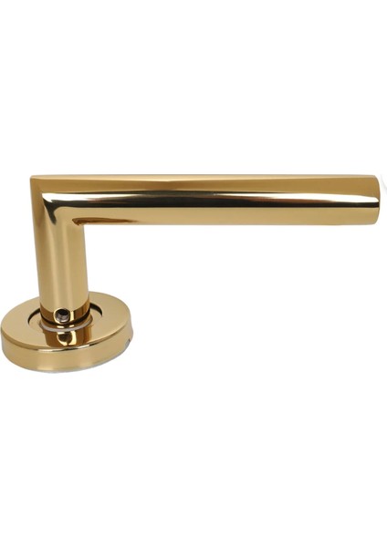 Vega Gold Wc Tipi Rozetli Paslanmaz Kapı Kolu Takım modelleri