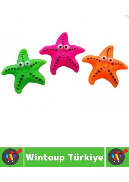 Evcil Hayvan Köpek Diş Temizliği Kaşıma Masaj Ilgi Çekici Denizyıldızı Figür Çiğneme Oyuncağı 2 Adet fiyatları