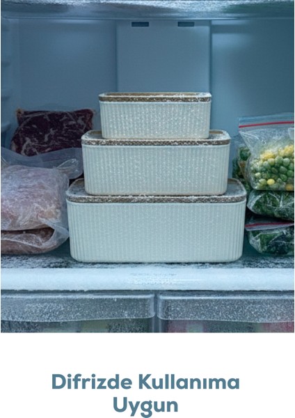 4'lü Dikdörtgen Saklama Kabı Seti Bej | 2.5l 1.5l 0.80L 0.45L | Mikrodalga ve Dondurucu Uyumlu indirimleri