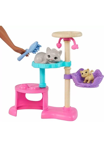 Barbie ve Yavru Kedileri Oyun Seti HHB70 fiyatları