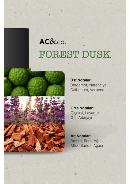 50 ml Edp Forest Dusk Parfüm fiyatları