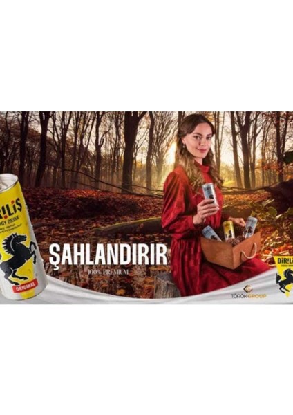 Original Enerji Içeceği – 250 ml x 24’lü Paket | Yüksek Performans, Yoğun Enerji, %100 Yerli Üretim fırsatları