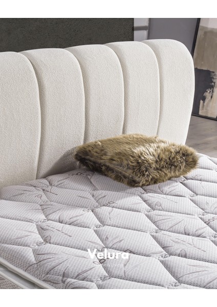 Polly Form Çift Kişilik Yatak Baza Başlık Seti (180 x 200)