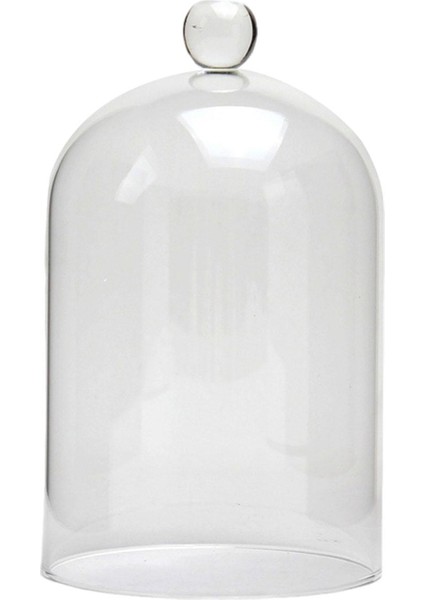 Düğünler Için Cam Kapakl Ahır Masaüstü Oturma Odası M (Yurt Dışından)