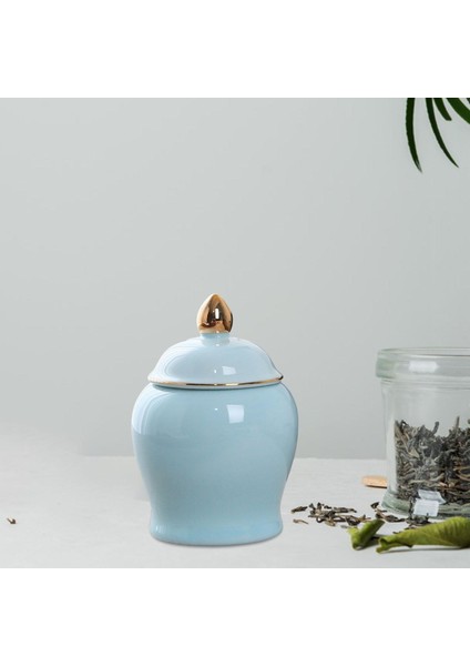 Mutfak Kavanozları Cilalı 70ML Seramik Gıda Kavanozu Çekirdekleri Için Mavi (Yurt Dışından) fırsatları