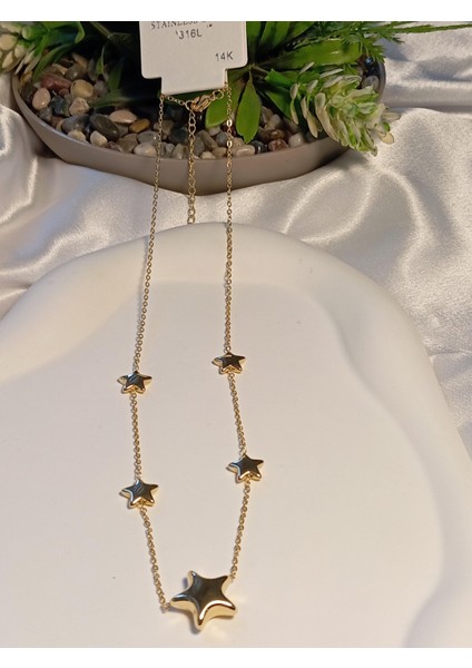 14 K Kaplama Çelik Yıldız Detaylı Kolye