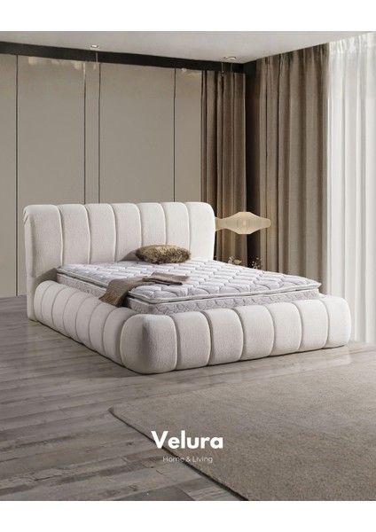 Polly Form Tek Kişilik Yatak Baza Başlık Seti (150 x 200)