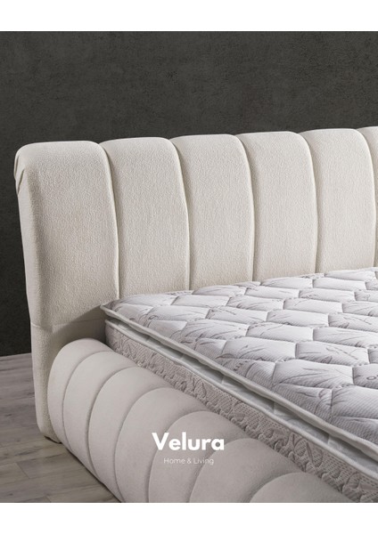 Polly Form Tek Kişilik Yatak Baza Başlık Seti (150 x 200)