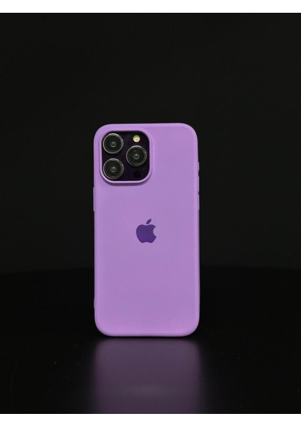 iPhone 11 Uyumlu Renkli Logo Içi Kadife Lüks Lansman Kılıf
