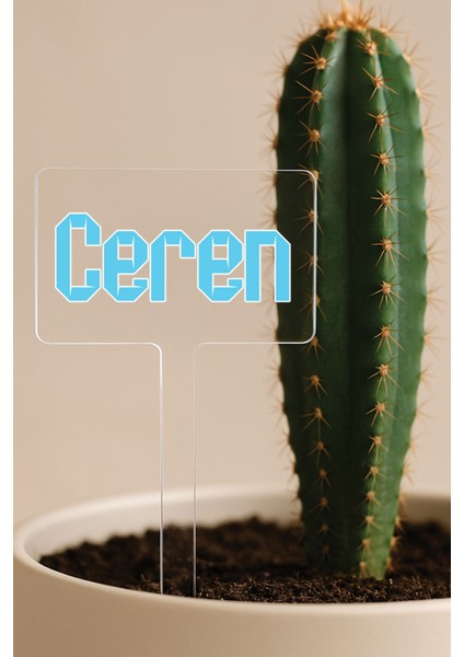 Kişiye Özel Isim Kelime Yazılı Uv Baskılı Şeffaf Dekoratif Pleksi Saksı Süsü - Model 9