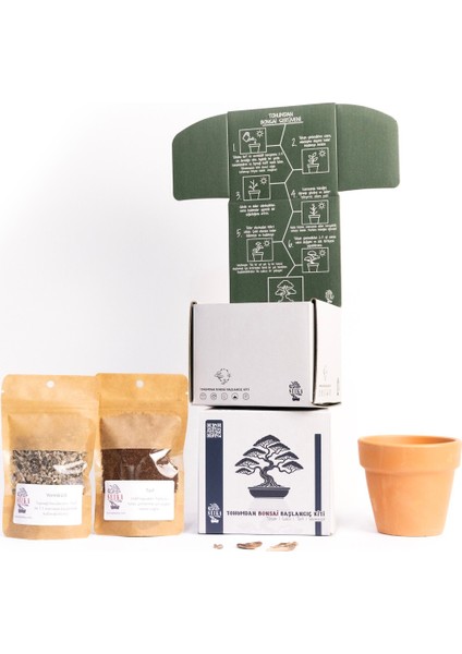 Tohumdan Bonsai Başlangıç Kiti - Japon Beyaz Çamı