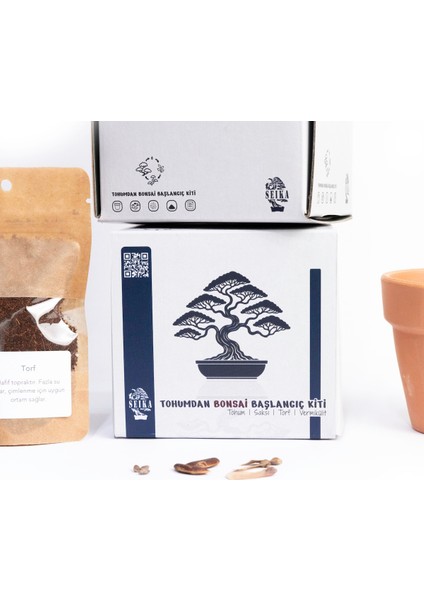 Tohumdan Bonsai Başlangıç Kiti - Japon Beyaz Çamı indirimleri