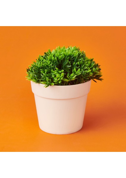 Dekor Saksıda Bitki - Asorti - 12X13 cm