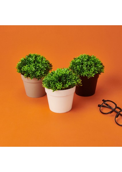 Dekor Saksıda Bitki - Asorti - 12X13 cm fiyatları