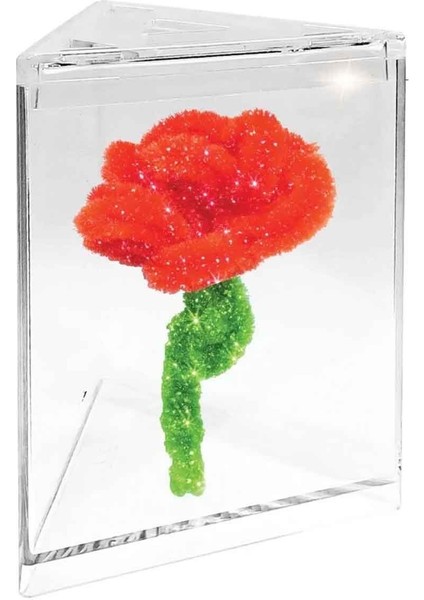 Kristal Gül Yetiştirme Seti fiyatları