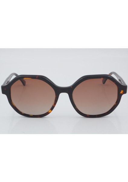 Uss 0247 C2 53 - 01 Güneş Gözlüğü