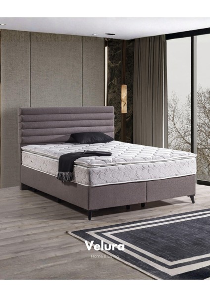 Aura Form Tek Kişilik Yatak Baza Başlık Seti (90 x 190)