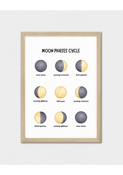 Ingilizce Ayın Halleri Dijital Baskı Poster (Çerçevesiz) modelleri