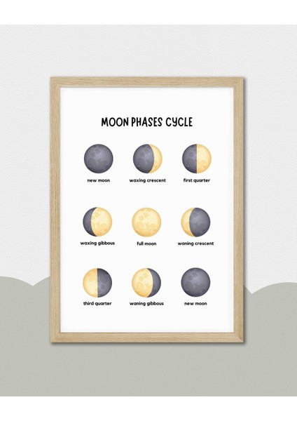 Ingilizce Ayın Halleri Dijital Baskı Poster (Çerçevesiz) fırsatları