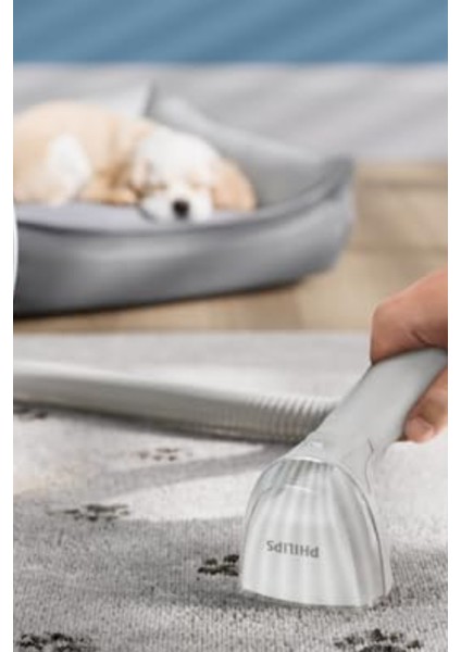 3000 Series Yıkama Vakum Temizleyici Leke Çıkarma, Otomatik Temizleme fiyatları