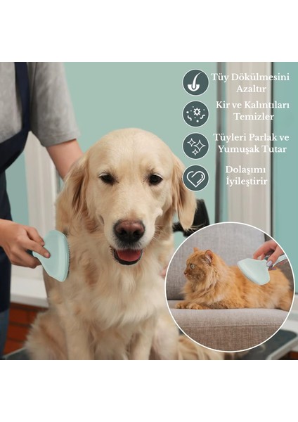 8 Parça Evcil Hayvan Tarak Makas Seti Kedi ve Köpek Bakım Makası Banyo Fırçası Su Kasesi modelleri