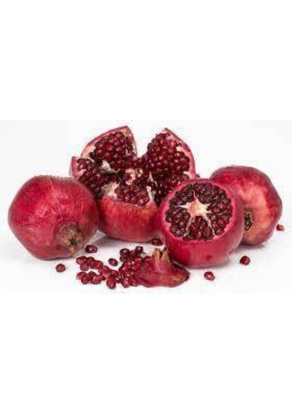 5 Adet Tohum Nar Ağacı Tohumu fiyatları