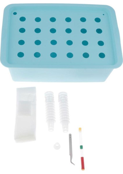 I Alan Ş 24 Balkonu Için Parterre Mavi (Yurt Dışından)