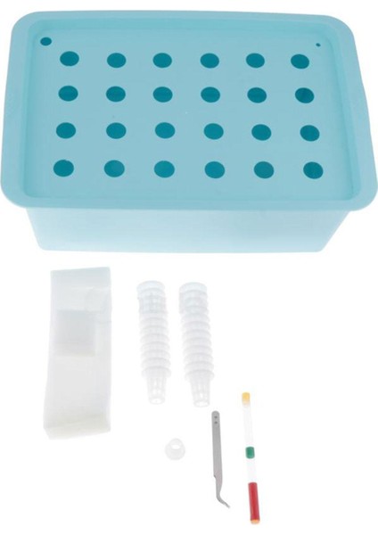 I Alan Ş 24 Balkonu Için Parterre Mavi (Yurt Dışından) fiyatları