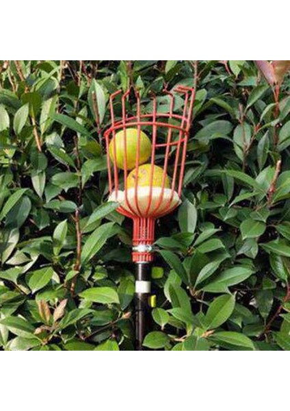 Meyve Icı Şeftali Toplama Toplama Yakalayıcı Meyve Kırmızı (Yurt Dışından) fırsatları