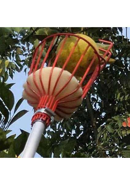 Meyve Icı Şeftali Toplama Toplama Yakalayıcı Meyve Kırmızı (Yurt Dışından) indirimleri