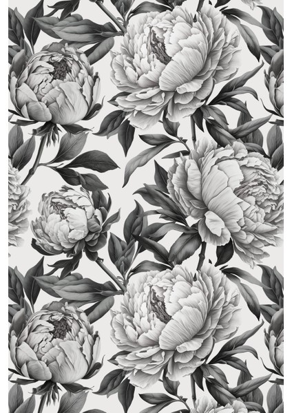 Siyah Beyaz Güller Tek Parça Duvar Kağıdı -Isı ve Ses Yalıtımı Yırtılmaz indirimleri